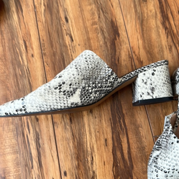 Steve Madden python mules - Picture 5 of 5